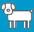 dog_ico